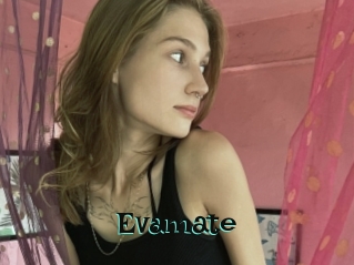 Evamate