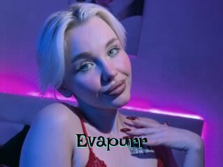 Evapurr