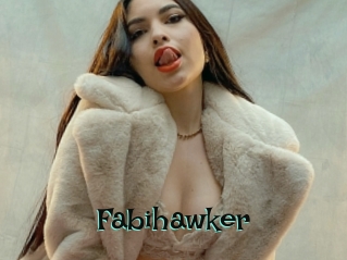 Fabihawker