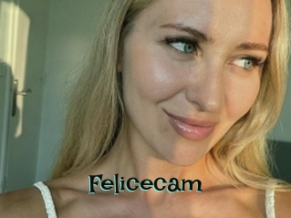 Felicecam