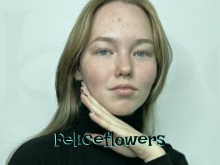 Feliceflowers