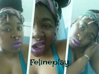 Felineplay