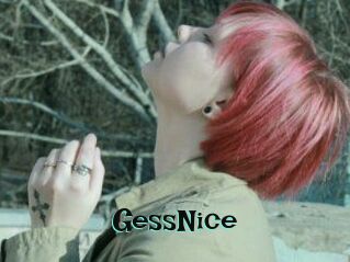 GessNice