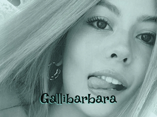 Gallibarbara