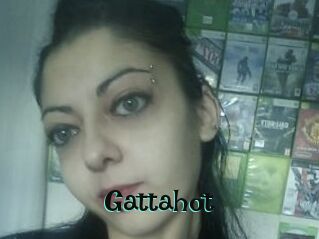 Gattahot