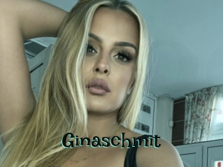 Ginaschmit