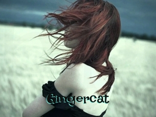 Gingercat