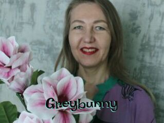 Greybunny