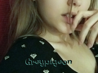 Greypigeon