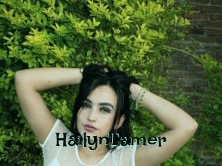HailynTamer