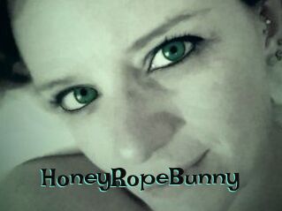 HoneyRopeBunny