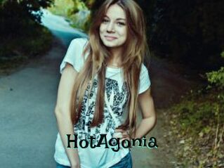 HotAgonia