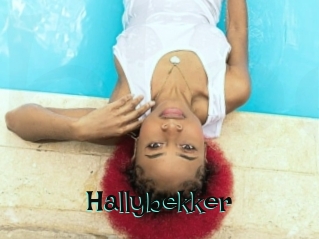 Hallybekker