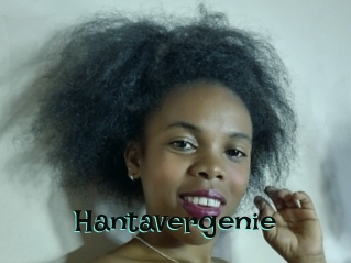 Hantavergenie