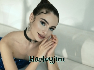harleyjim Blog Pornostar
