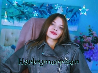 Harleymorrison