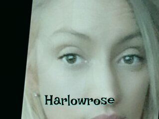 Harlowrose