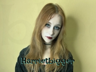 Harrietbigger