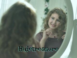 Hidetreasure