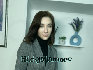 Hildgallamore