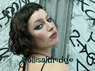 Hollisaldridge