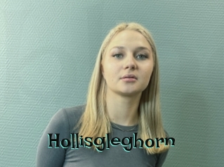 Hollisgleghorn