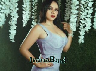 IvanaBird