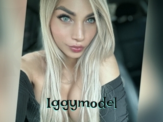 Iggymodel