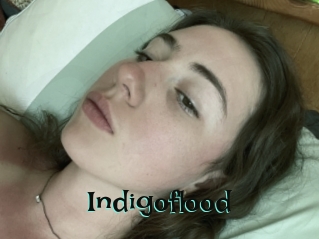 Indigoflood