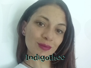 Indigothcc