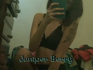 Juniper_Berry