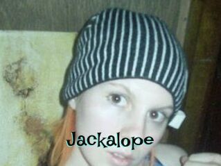 Jackalope
