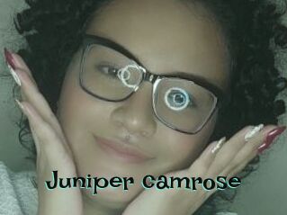 Juniper_camrose