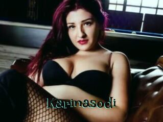 Karinasodi