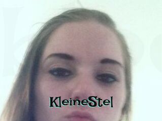 KleineStel