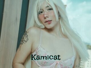 Kamicat