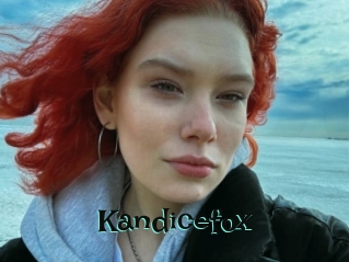 Kandicefox