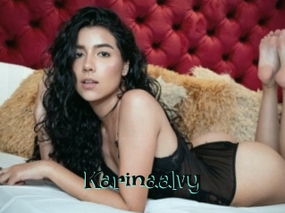 Karinaalvy