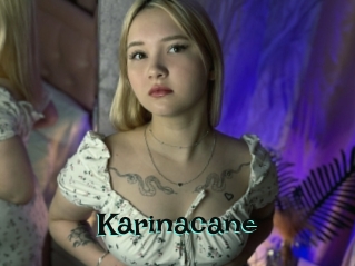 Karinacane