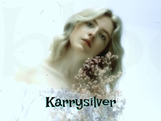 karrysilver Blog Pornostar