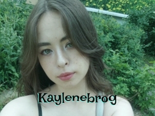 Kaylenebrog