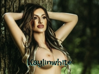 kaylinwhite Blog Pornostar