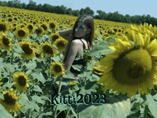 Kitti2023