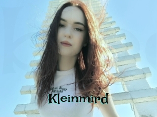 Kleinmird