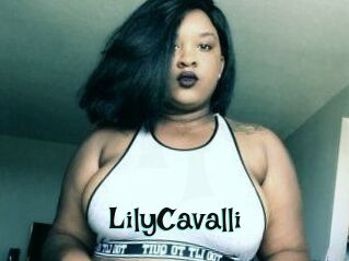 Lily_Cavalli