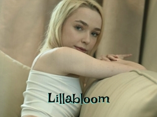 Lillabloom