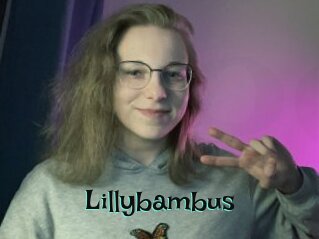 Lillybambus