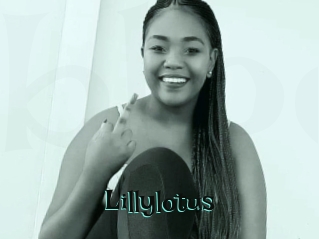 Lillylotus