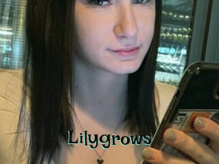Lilygrows