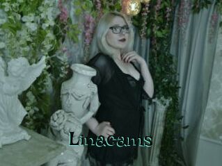 Linacams